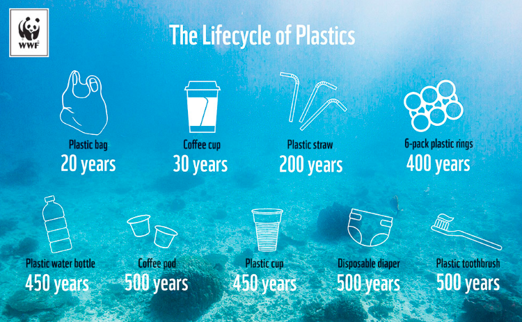 It's Plastic-Free July – Join the Movement to Reduce Plastic Waste